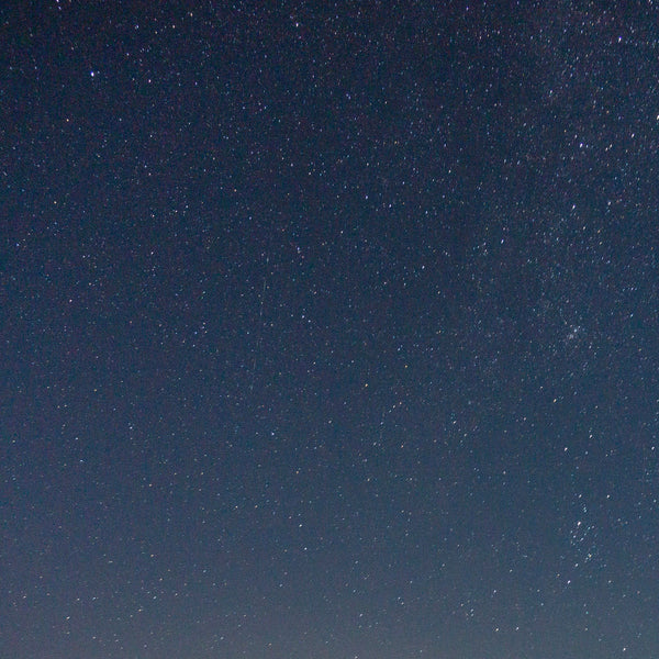 Support quality rest